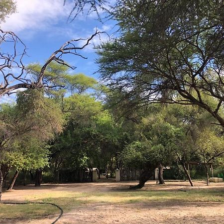 Sitatunga Campsite Maun Zewnętrze zdjęcie