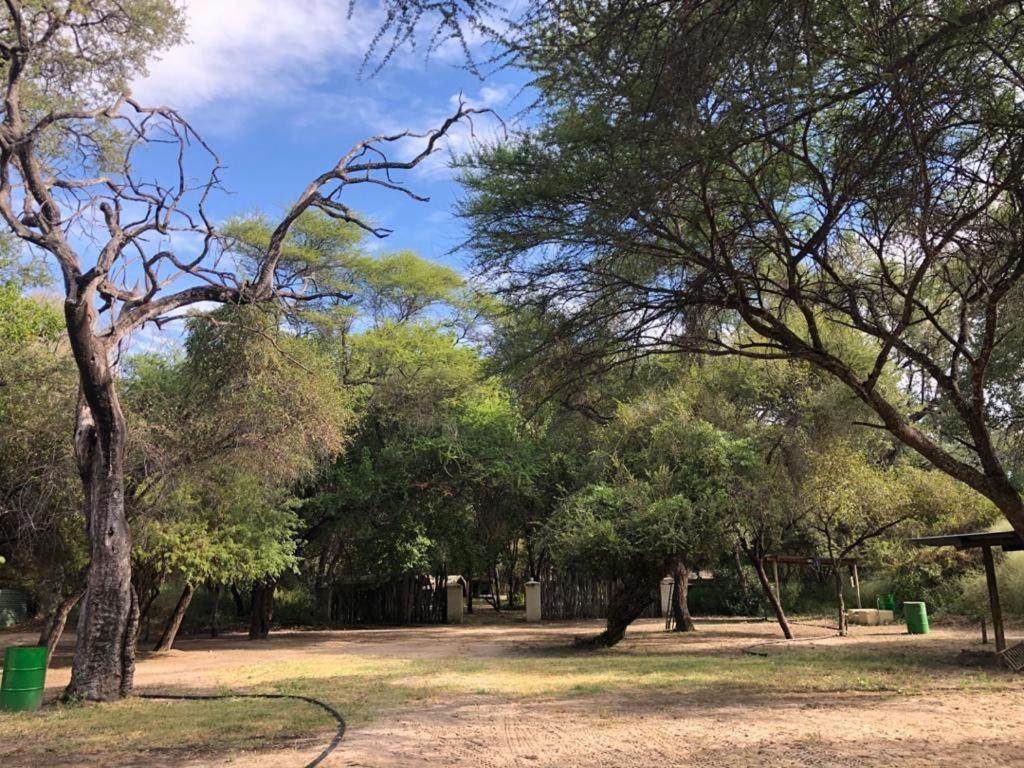 Sitatunga Campsite Maun Zewnętrze zdjęcie
