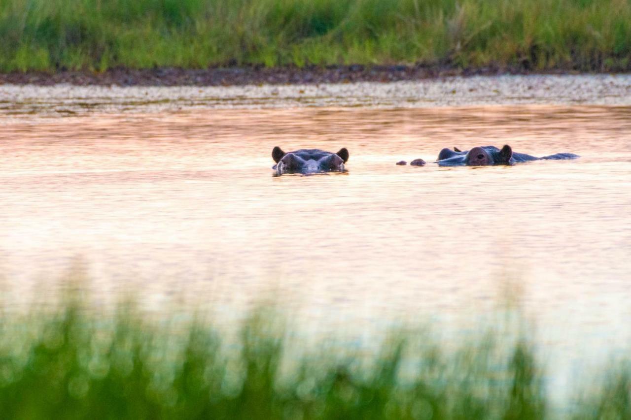 Sitatunga Campsite Maun Zewnętrze zdjęcie