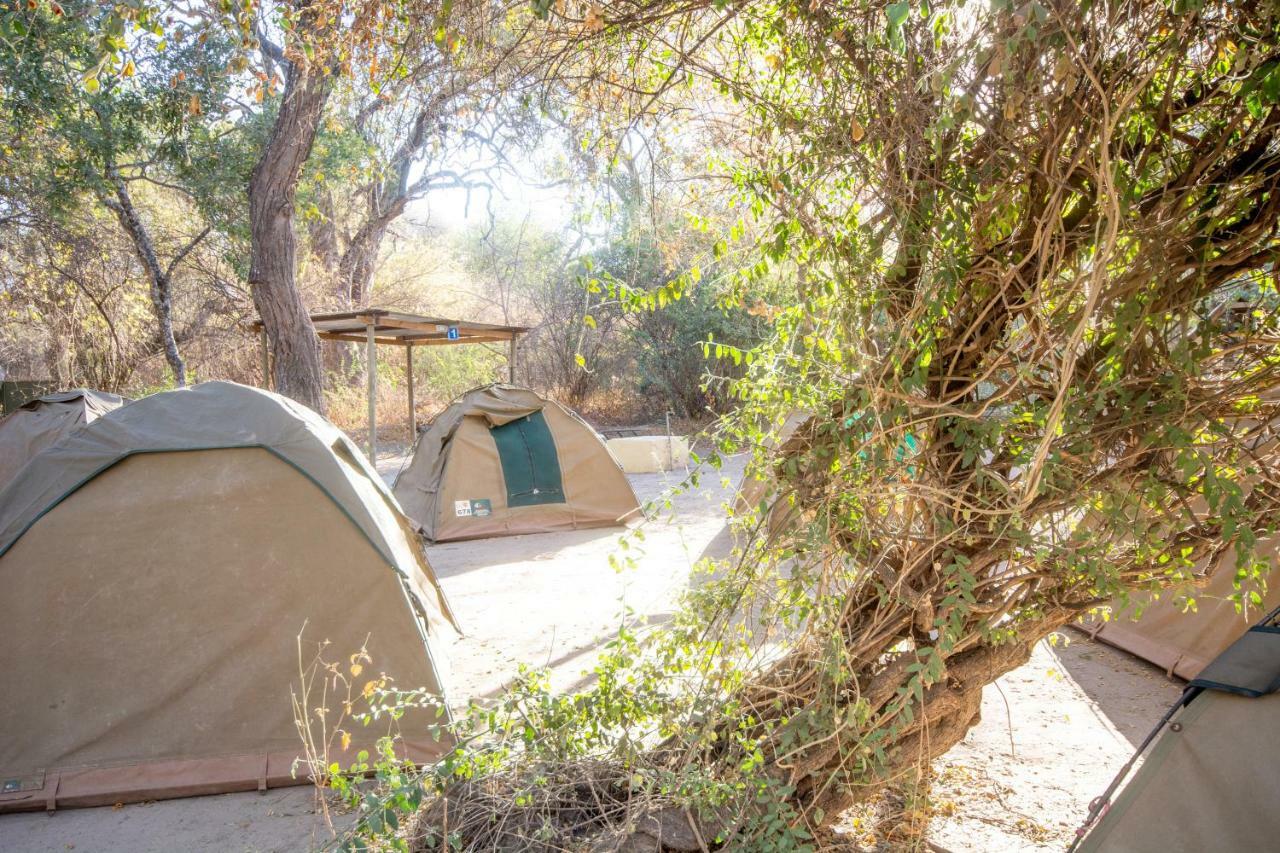 Sitatunga Campsite Maun Zewnętrze zdjęcie