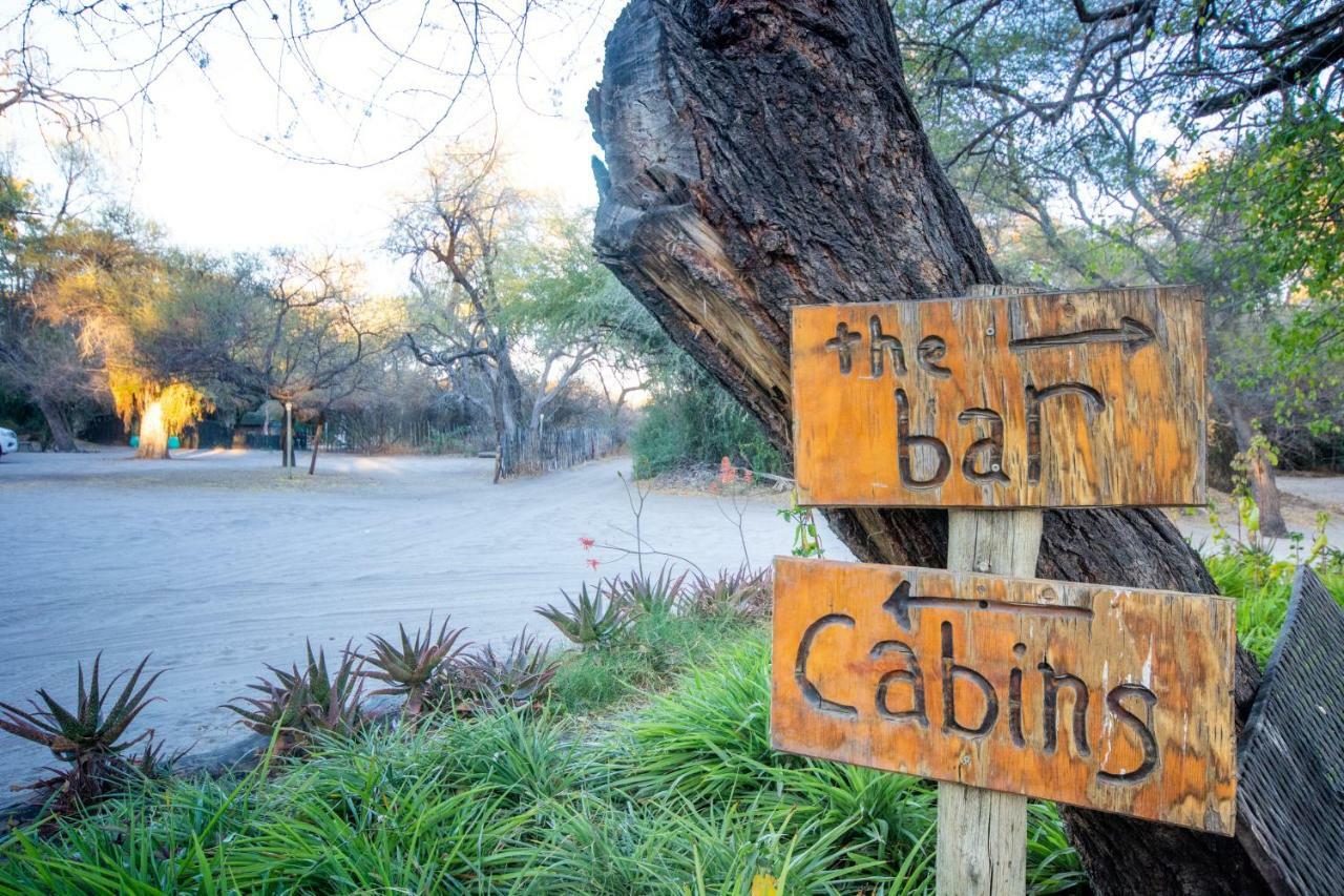 Sitatunga Campsite Maun Zewnętrze zdjęcie