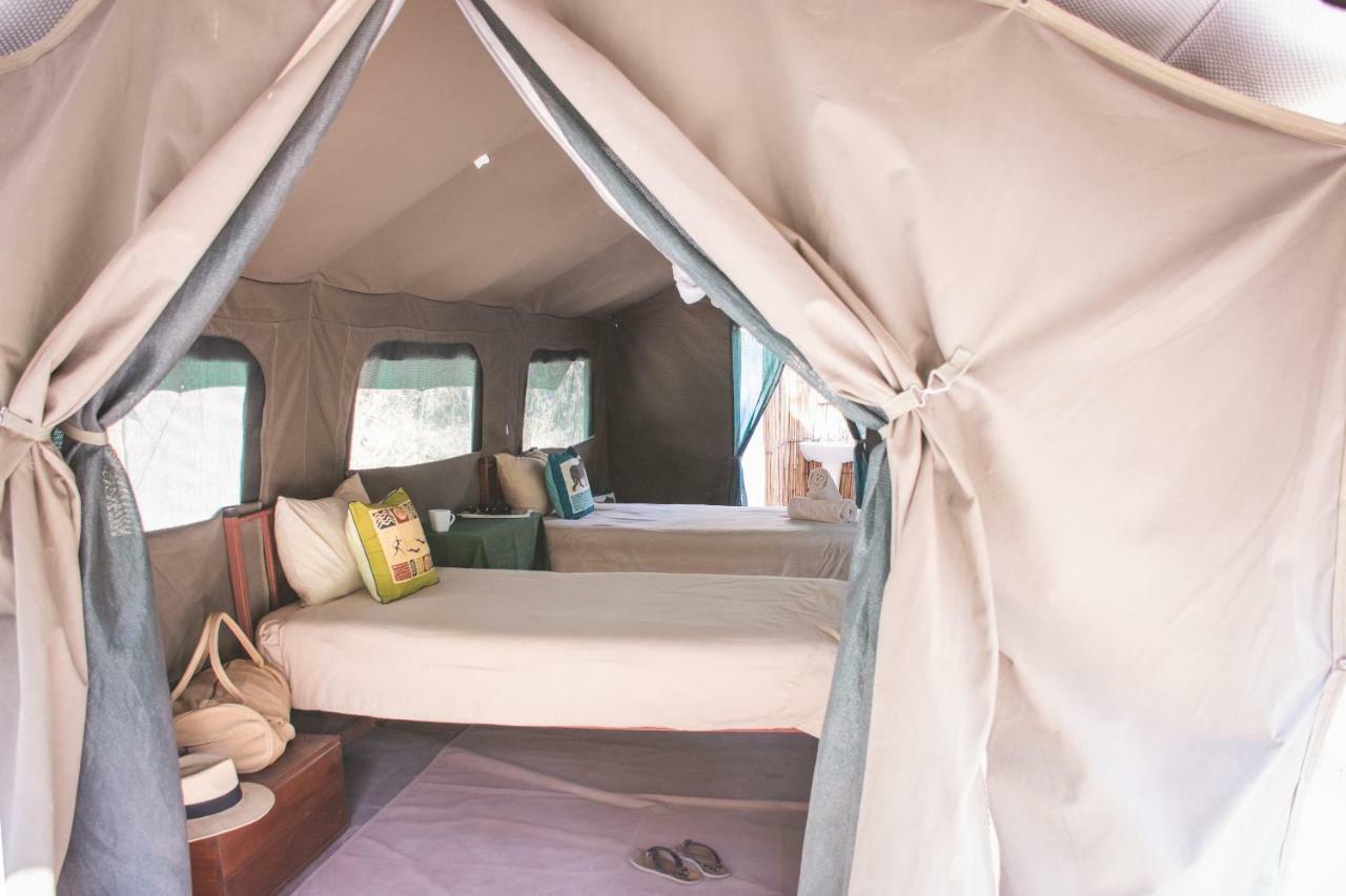 Sitatunga Campsite Maun Zewnętrze zdjęcie