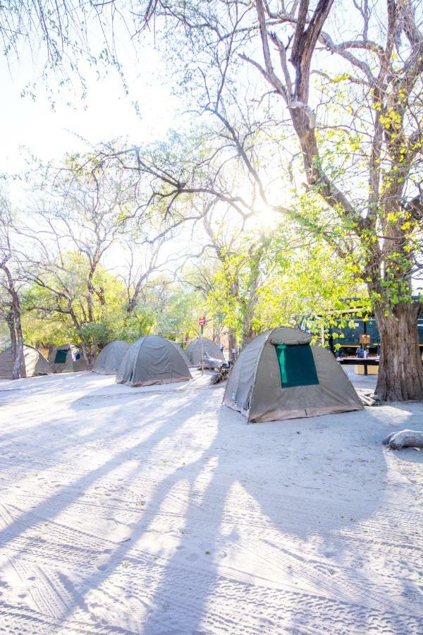 Sitatunga Campsite Maun Zewnętrze zdjęcie