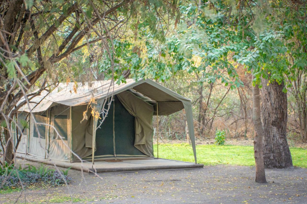 Sitatunga Campsite Maun Zewnętrze zdjęcie