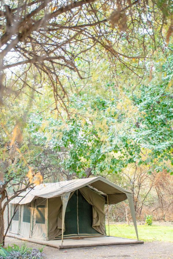 Sitatunga Campsite Maun Zewnętrze zdjęcie
