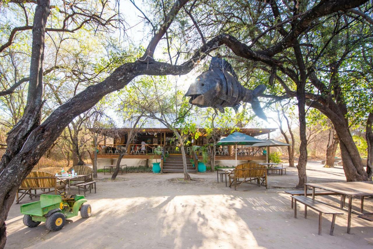 Sitatunga Campsite Maun Zewnętrze zdjęcie